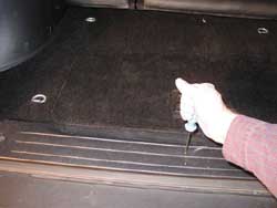 Remove the six screws that retain the rear door floor trim